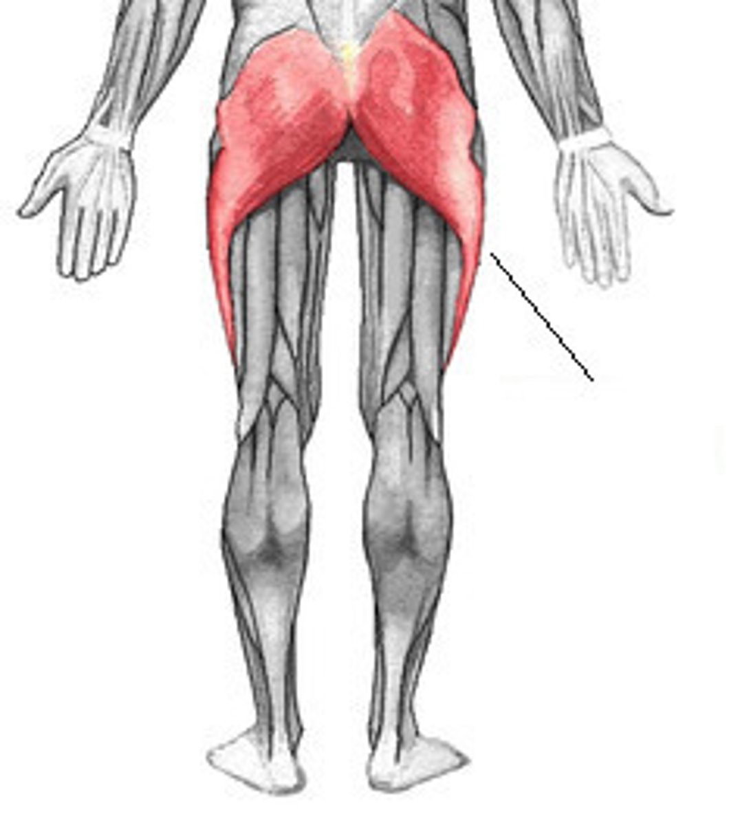 <p>what is this structure?</p>