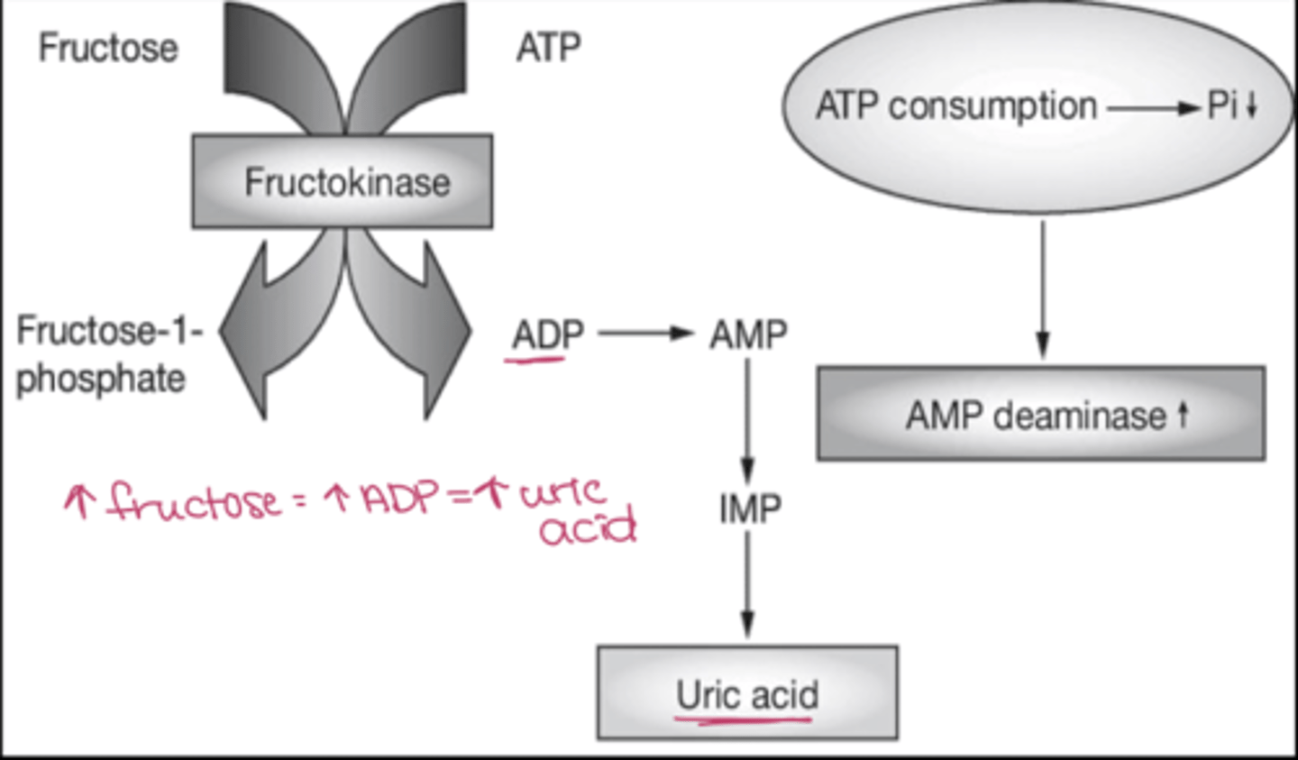 <p>- fructose</p><p>- alcohol</p>