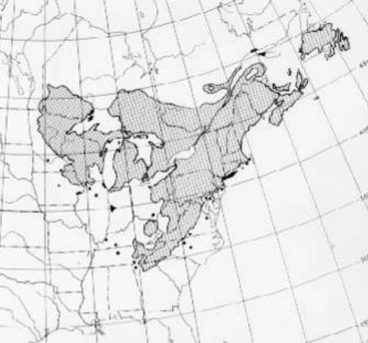 <p>What species is this?</p>