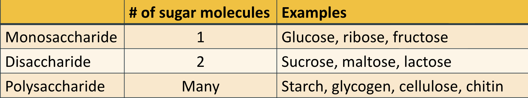 <p>Carbs are defined by amt of carbons</p><p>has same ratio of h and o as water (2:1)</p><p class="has-focus"></p>