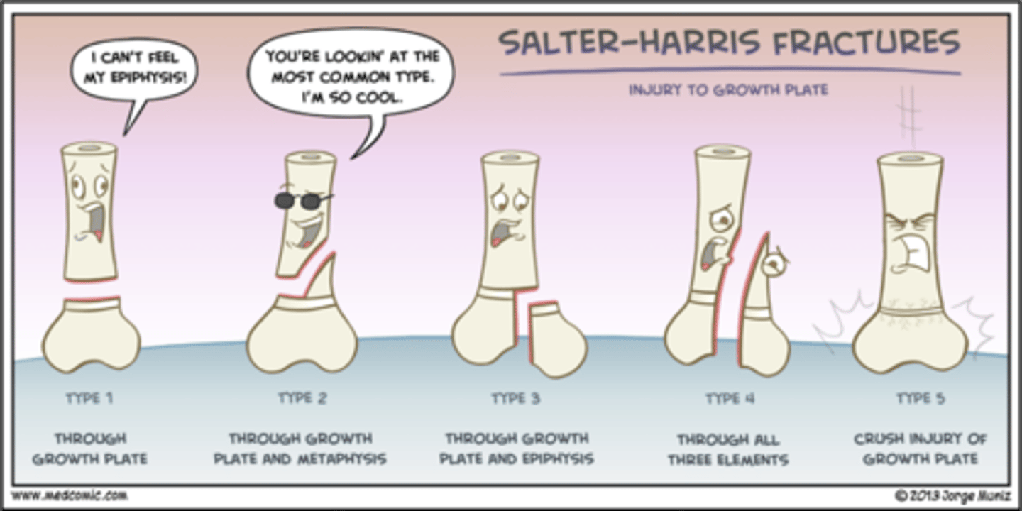 <p>............ :|</p>