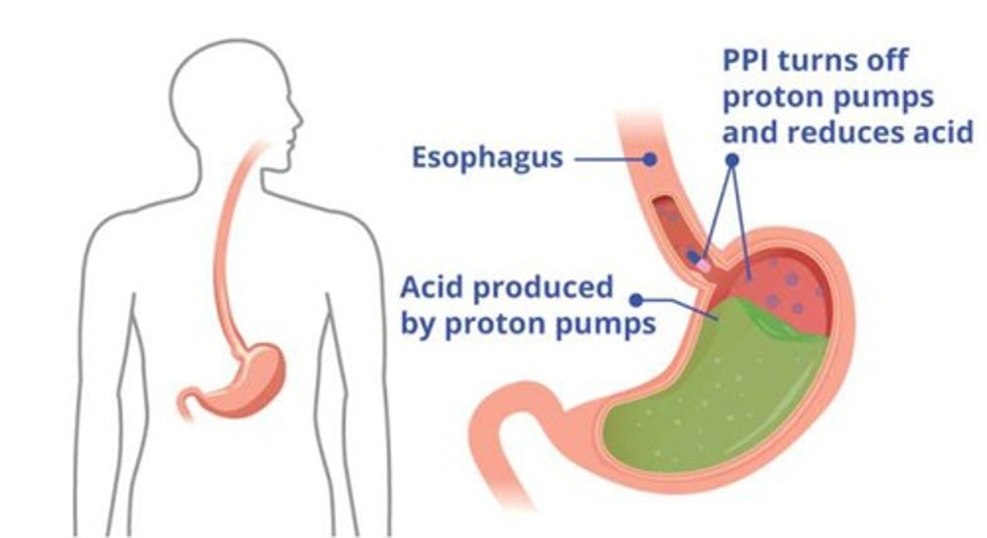 <p>Blocks basal and stimulated acid production and reduces gastric acid secretion.</p>