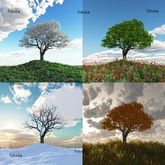 Earth has seasons because because its axis is tilted as it moves around the sun therefore sunlight is absorbed at various parts of the Earth.