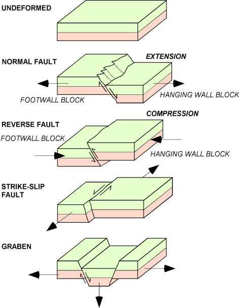 <ul><li><p>normal fault</p></li><li><p>reverse fault</p></li><li><p>strike-slip fault</p></li></ul><p></p>