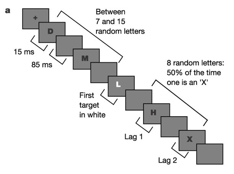 <p>measures temporal attention; participants are presented sequentially with 2 target letters</p>