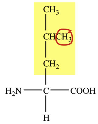 ISOBUTYL R GROUP