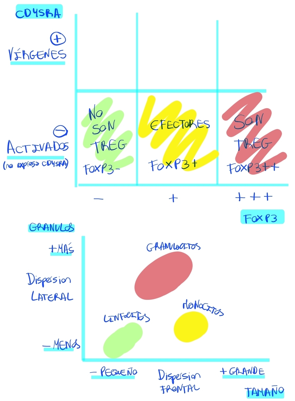 knowt flashcard image