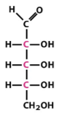<p>5-carbon aldehyde</p><p>Right-right-right</p>