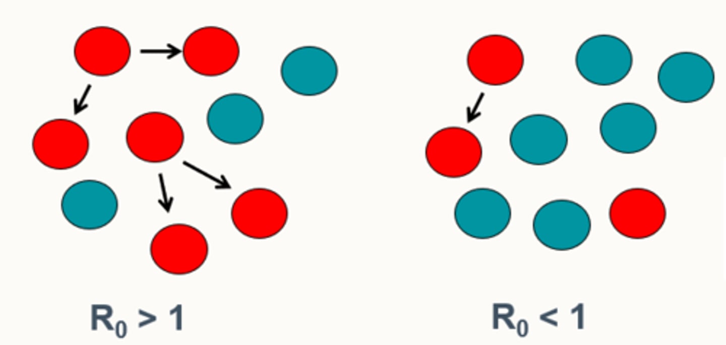 <p>The basic reproduction number/transmissibility rate of a disease, i.e. a measure of the average number of people that one infected individual (usually used to refer to as the primary case) will go on to infect in a naïve population (not considering factors like immunity or disease preventions):</p><p>- If R₀ > 1, the disease will spread in the population because each infected person is passing the disease on to more than one other person.</p><p>- If R₀ < 1, the disease will gradually decline and eventually disappear, because each infected person is infecting fewer than one other person on average.</p>