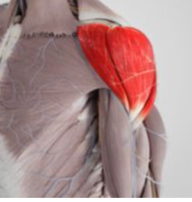 <p>Funktion &amp; Name</p>