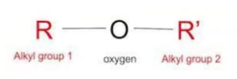 <p>What type/class of organic compound is this?</p>