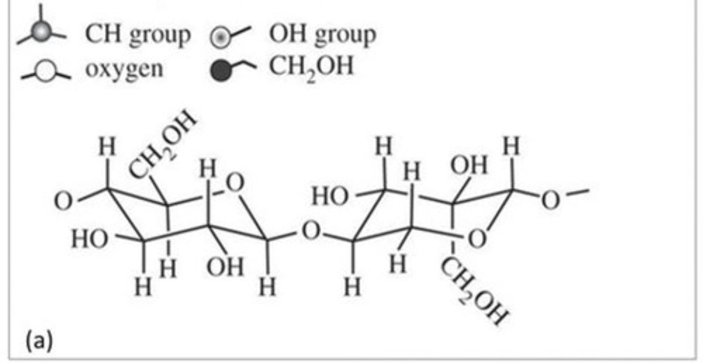 <p>Formed when a dehydration reaction joins two monosaccharides</p>