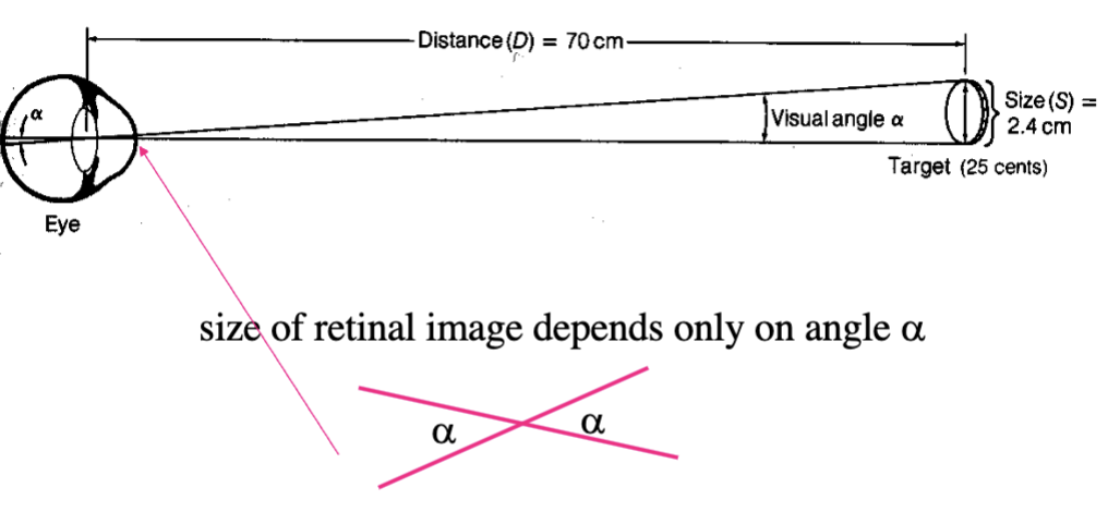 <p>divide the size of cycle by viewing distance at which you ca barely see a difference between two objects → take arctangent of this ratio</p>