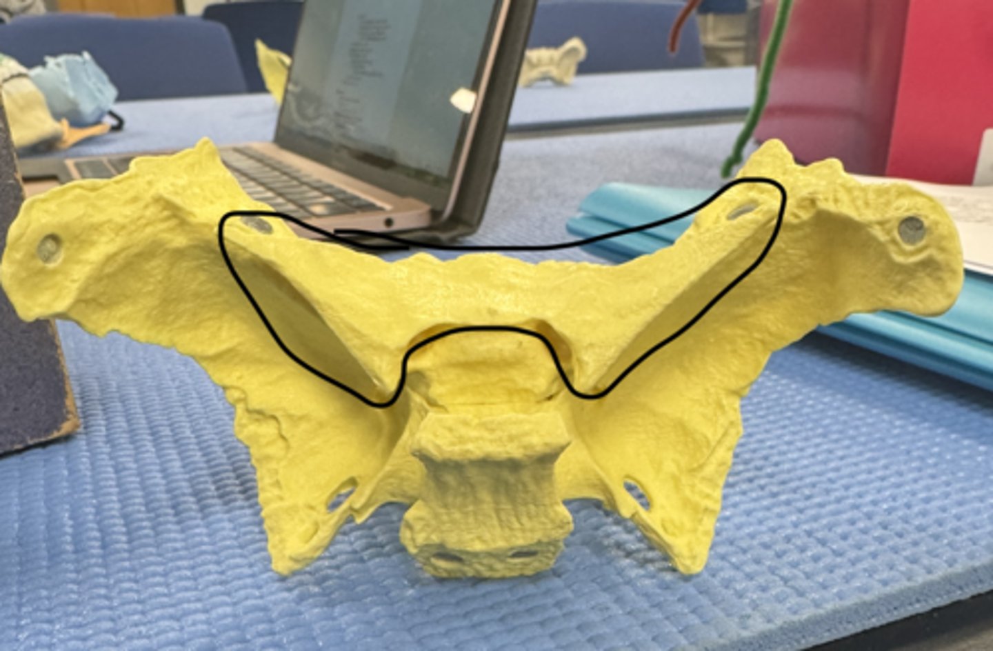 knowt flashcard image