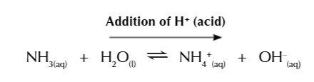 <ul><li><p>the large amount of ammonia ensure the buffer can resist the addition of acid</p></li><li><p>when H+ is added to a solution it can react with OH- to make water</p></li><li><p>this shifts the equilibrium right to replace the OH- used up</p></li><li><p>water reacts with ammonia to produce NH4+ and OH-</p></li></ul><p></p>
