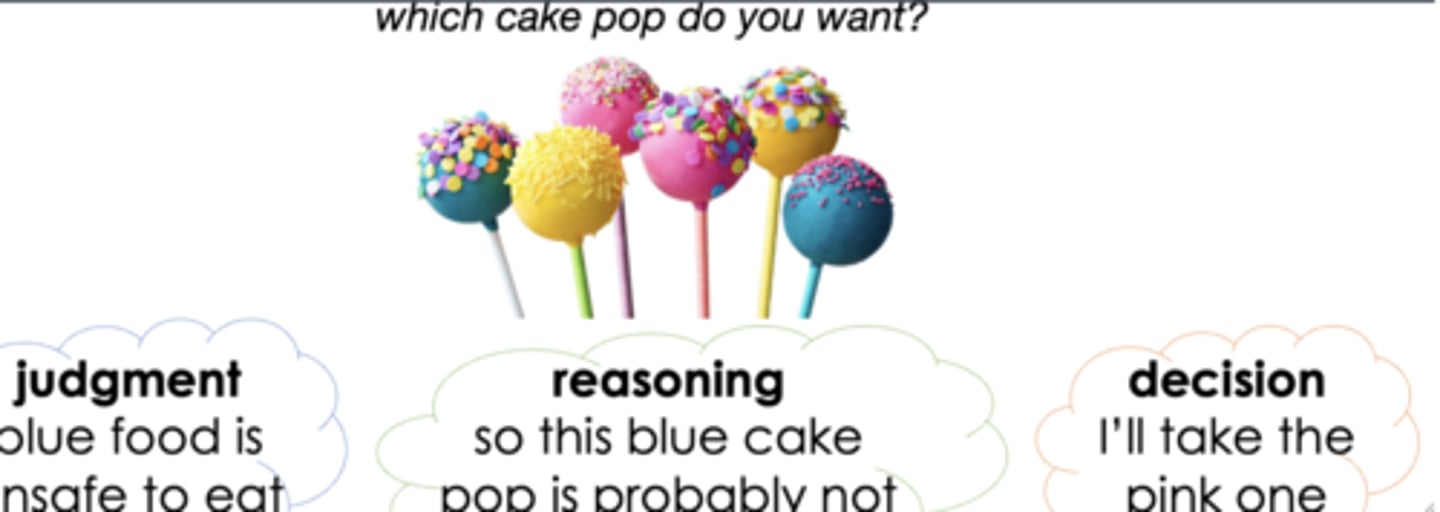 <p>the process of choosing between alternatives</p>