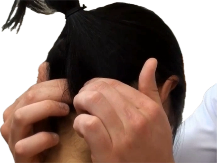 <p>Occipital (back lower head - both sides)</p>