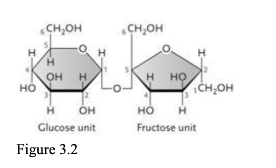 <p><span style="background-color: transparent; font-family: &quot;Times New Roman&quot;, serif;">The disaccharide in the accompanying figure is ____.​</span></p><table style="min-width: 75px;"><colgroup><col style="min-width: 25px;"><col style="min-width: 25px;"><col style="min-width: 25px;"></colgroup><tbody><tr><td colspan="1" rowspan="1" style="vertical-align: top; overflow: hidden; overflow-wrap: break-word;"><p><span style="background-color: transparent;">&nbsp;</span></p></td><td colspan="1" rowspan="1" style="vertical-align: top; padding: 1.5pt 0pt; overflow: hidden; overflow-wrap: break-word;"><p><span style="background-color: transparent; font-family: &quot;Times New Roman&quot;, serif;">a.&nbsp;</span></p></td><td colspan="1" rowspan="1" style="vertical-align: top; padding: 1.5pt 20pt 1.5pt 0pt; overflow: hidden; overflow-wrap: break-word;"><p><span style="background-color: transparent; font-family: &quot;Times New Roman&quot;, serif;">​cellulose</span></p></td></tr><tr><td colspan="1" rowspan="1" style="vertical-align: top; overflow: hidden; overflow-wrap: break-word;"><p><span style="background-color: transparent;">&nbsp;</span></p></td><td colspan="1" rowspan="1" style="vertical-align: top; padding: 1.5pt 0pt; overflow: hidden; overflow-wrap: break-word;"><p><span style="background-color: transparent; font-family: &quot;Times New Roman&quot;, serif;">b.&nbsp;</span></p></td><td colspan="1" rowspan="1" style="vertical-align: top; padding: 1.5pt 20pt 1.5pt 0pt; overflow: hidden; overflow-wrap: break-word;"><p><span style="background-color: transparent; font-family: &quot;Times New Roman&quot;, serif;">galactose​</span></p></td></tr><tr><td colspan="1" rowspan="1" style="vertical-align: top; overflow: hidden; overflow-wrap: break-word;"><p><span style="background-color: transparent;">&nbsp;</span></p></td><td colspan="1" rowspan="1" style="vertical-align: top; padding: 1.5pt 0pt; overflow: hidden; overflow-wrap: break-word;"><p><span style="background-color: transparent; font-family: &quot;Times New Roman&quot;, serif;">c.&nbsp;</span></p></td><td colspan="1" rowspan="1" style="vertical-align: top; padding: 1.5pt 20pt 1.5pt 0pt; overflow: hidden; overflow-wrap: break-word;"><p><span style="background-color: transparent; font-family: &quot;Times New Roman&quot;, serif;">maltose​</span></p></td></tr><tr><td colspan="1" rowspan="1" style="vertical-align: top; overflow: hidden; overflow-wrap: break-word;"><p><span style="background-color: transparent;">&nbsp;</span></p></td><td colspan="1" rowspan="1" style="vertical-align: top; padding: 1.5pt 0pt; overflow: hidden; overflow-wrap: break-word;"><p><span style="background-color: transparent; font-family: &quot;Times New Roman&quot;, serif;">d.&nbsp;</span></p></td><td colspan="1" rowspan="1" style="vertical-align: top; padding: 1.5pt 20pt 1.5pt 0pt; overflow: hidden; overflow-wrap: break-word;"><p><span style="background-color: transparent; font-family: &quot;Times New Roman&quot;, serif;">sucrose​</span></p></td></tr><tr><td colspan="1" rowspan="1" style="vertical-align: top; overflow: hidden; overflow-wrap: break-word;"><p><span style="background-color: transparent;">&nbsp;</span></p></td><td colspan="1" rowspan="1" style="vertical-align: top; padding: 1.5pt 0pt; overflow: hidden; overflow-wrap: break-word;"><p><span style="background-color: transparent; font-family: &quot;Times New Roman&quot;, serif;">e.&nbsp;</span></p></td><td colspan="1" rowspan="1" style="vertical-align: top; padding: 1.5pt 20pt 1.5pt 0pt; overflow: hidden; overflow-wrap: break-word;"><p><span style="background-color: transparent; font-family: &quot;Times New Roman&quot;, serif;">​lactose</span></p></td></tr></tbody></table><p></p>
