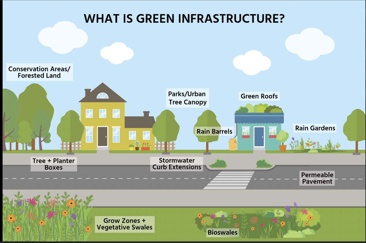 <p><span><span>Environmental gentrification (or green gentrification) is </span></span><strong><mark data-color="unset" style="background-color: unset; color: inherit;">when environmental improvements, like new parks, pollution cleanups, or green infrastructure, make a neighborhood more desirable, which raises property values and rents, pushing out low-income residents who can no longer afford to live there and replacing them with wealthier newcomers.</mark></strong></p>