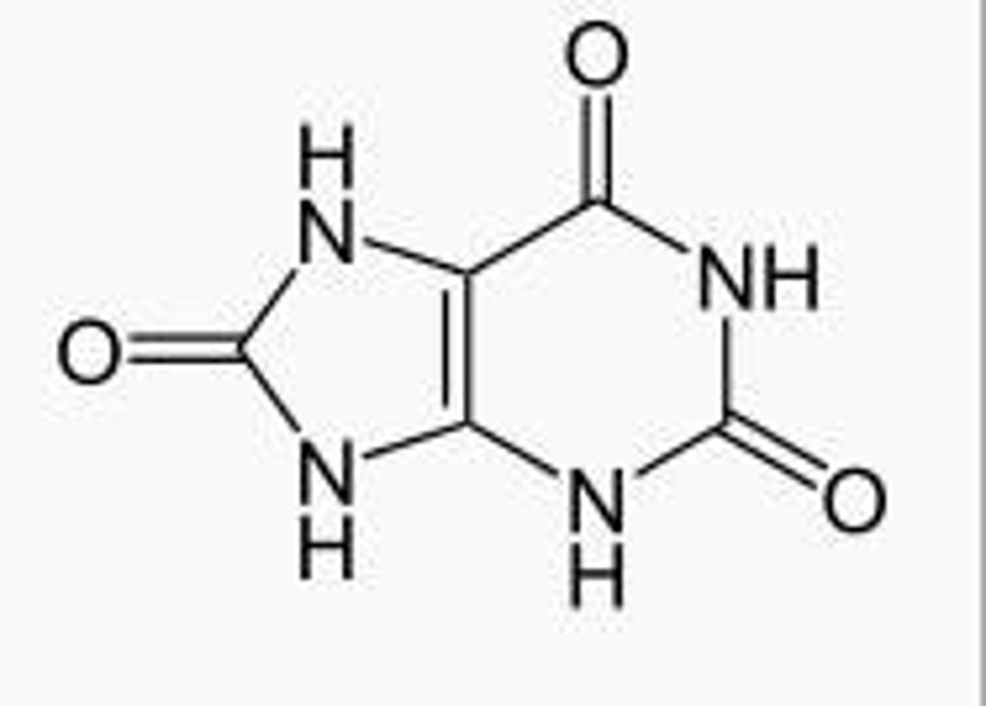 <p>Purines are broken down into xanthine and hypoxanthine.</p>