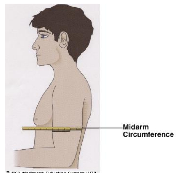 * evaluate fat stores
* measure the arm, muscle mass, subcutaneous fat and bone
* estimates wasting of an individual