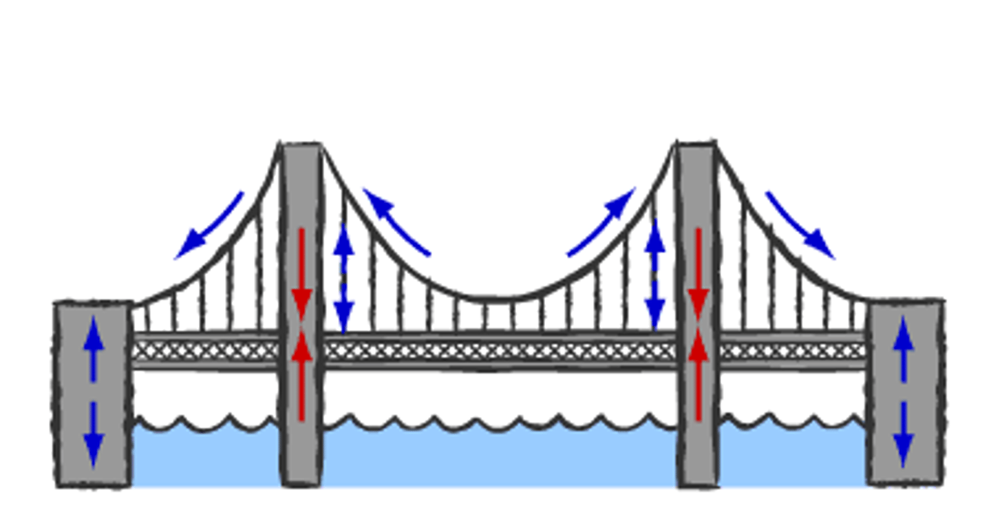 <p>The main force acting on a cable-stayed bridge is gravity pushing down on the bridge and vehicles. Each stay (cable) is under tension, transferring the force to the towers, which are under compression force being pulled down from the stays above but supported by the ground, efficiently distributing the load and reducing bending in the deck.</p>