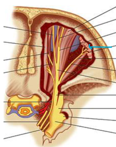 <p>what structure?</p>