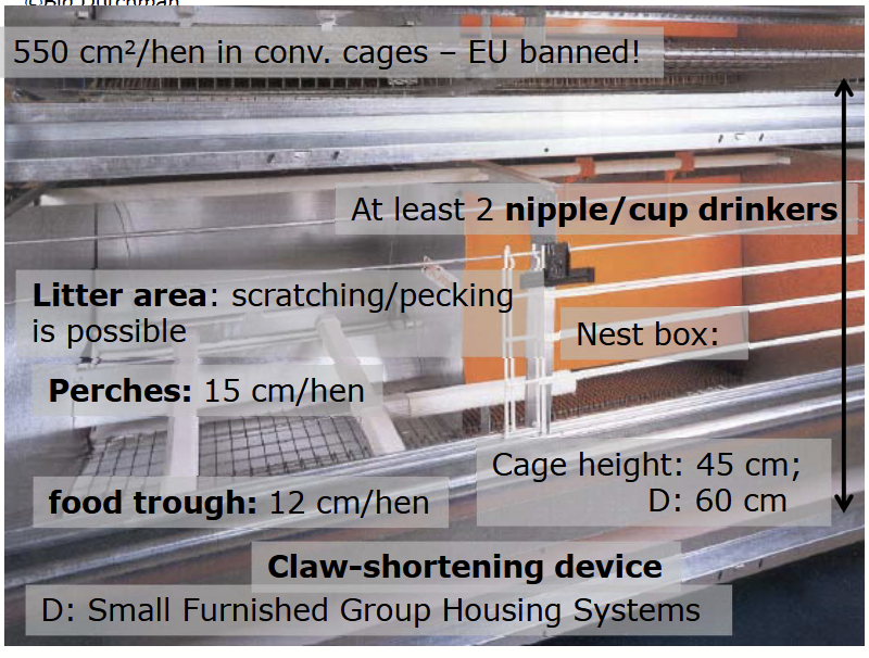 <ul><li><p>Wire enclosure with extra space and elements:</p><ul><li><p>Perches: 15 cm/hen</p></li><li><p>Nestbox (closed nest area)</p></li><li><p>Litter area: scratching + pecking is possible</p></li><li><p>Extra height: 45 cm</p></li><li><p>Food trough: 12 cm/hen</p></li><li><p>At least 2 nipple/cup drinkers</p></li><li><p>Claw-shortening device</p></li></ul></li><li><p>Variety of group sizes:</p><ul><li><p>0-12 birds = small group</p></li><li><p>15-30 birds = medium group</p></li><li><p>~60 birds = large group</p></li></ul></li><li><p>750 cm<sup>2</sup> of cage area per hen; no cage less than 2000 cm<sup>2</sup></p></li></ul><p></p>