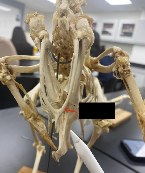<p>What part is this </p>