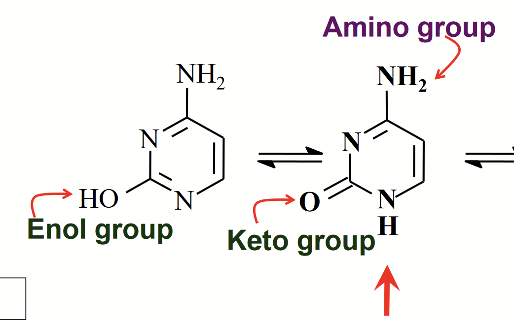 <p>The OH group undergoes tautomerism for cytosine.</p>