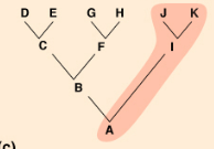 group of organisms that includes the most recent common ancestor but not all of its descendants (e.g. non-avian reptiles).