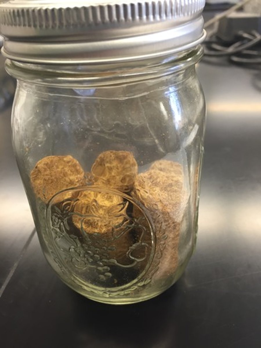 knowt flashcard image