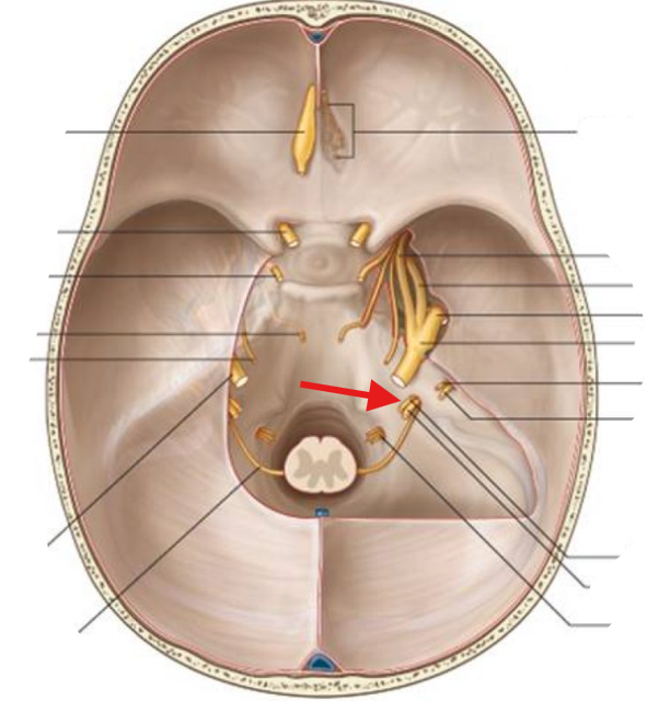 <p>What is this structure?</p>