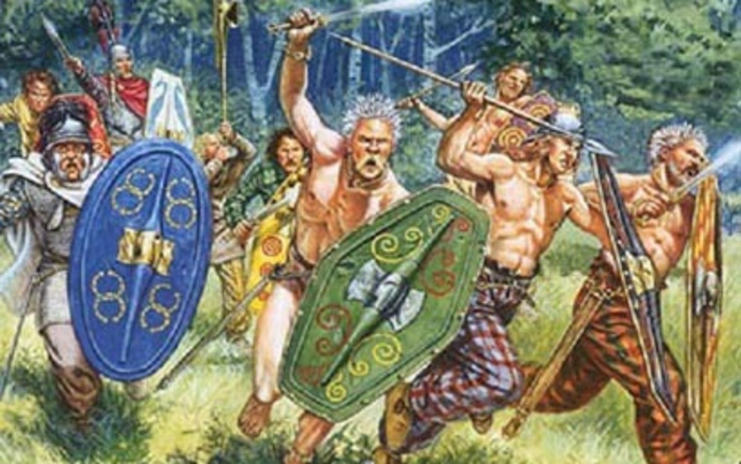 <p>Gaul</p>
