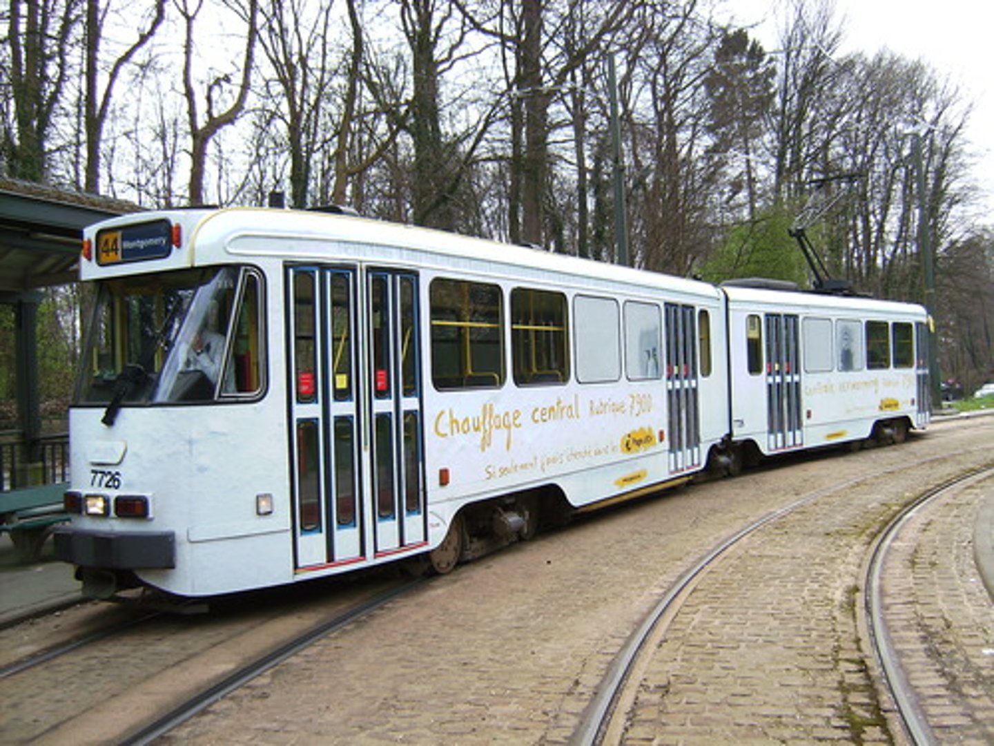 <p>tram (n)</p><p>(/træm/)</p>