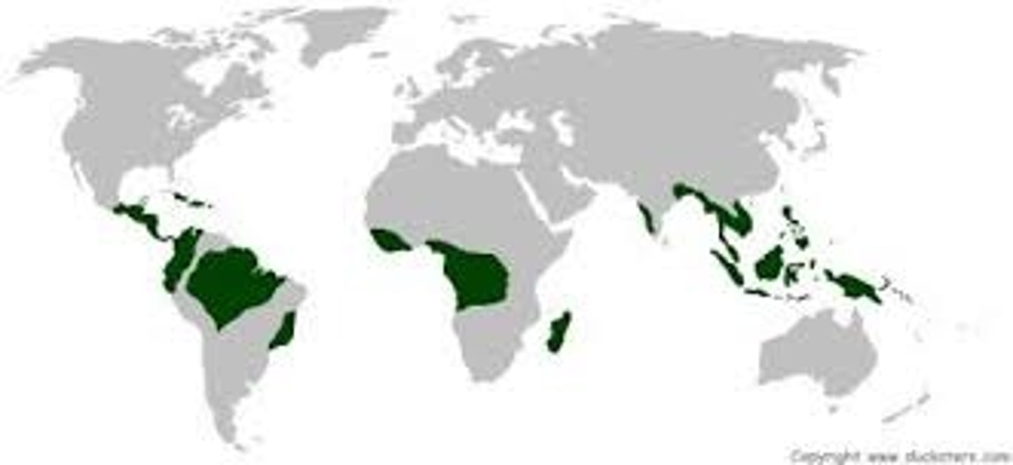 <p>South and Central America, Africa, Indonesia, and southeast Asia</p>