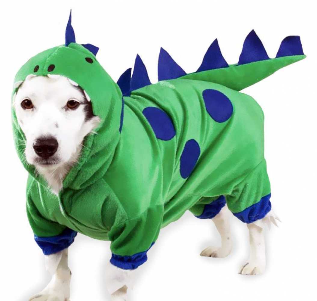 <p>costume</p>