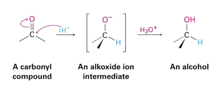 <p>delivery of a hydride at the electrophilic carbon of the ketone four times to generate a tetraalkoxycarbon compound, this can then be decomposed, at elevated temperatures </p>