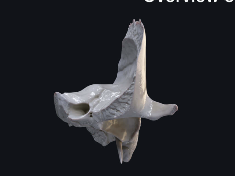 <p>What is this?</p>