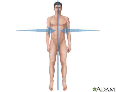 <p>Towards midline</p>