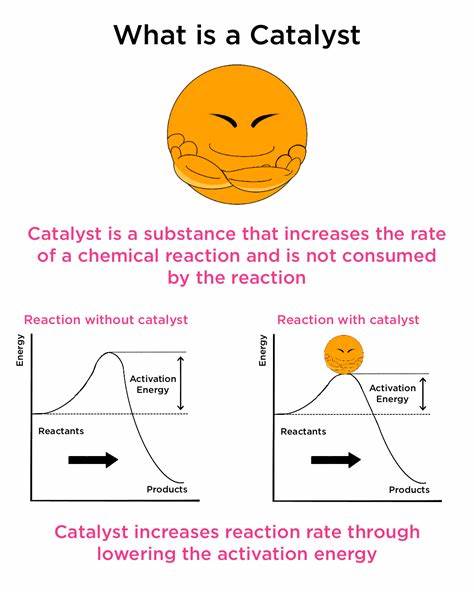 <p>catalyst</p>