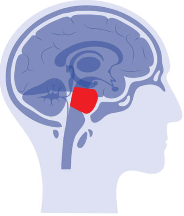 controls sleep and coordinate movement
