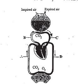 <p>label each part</p>