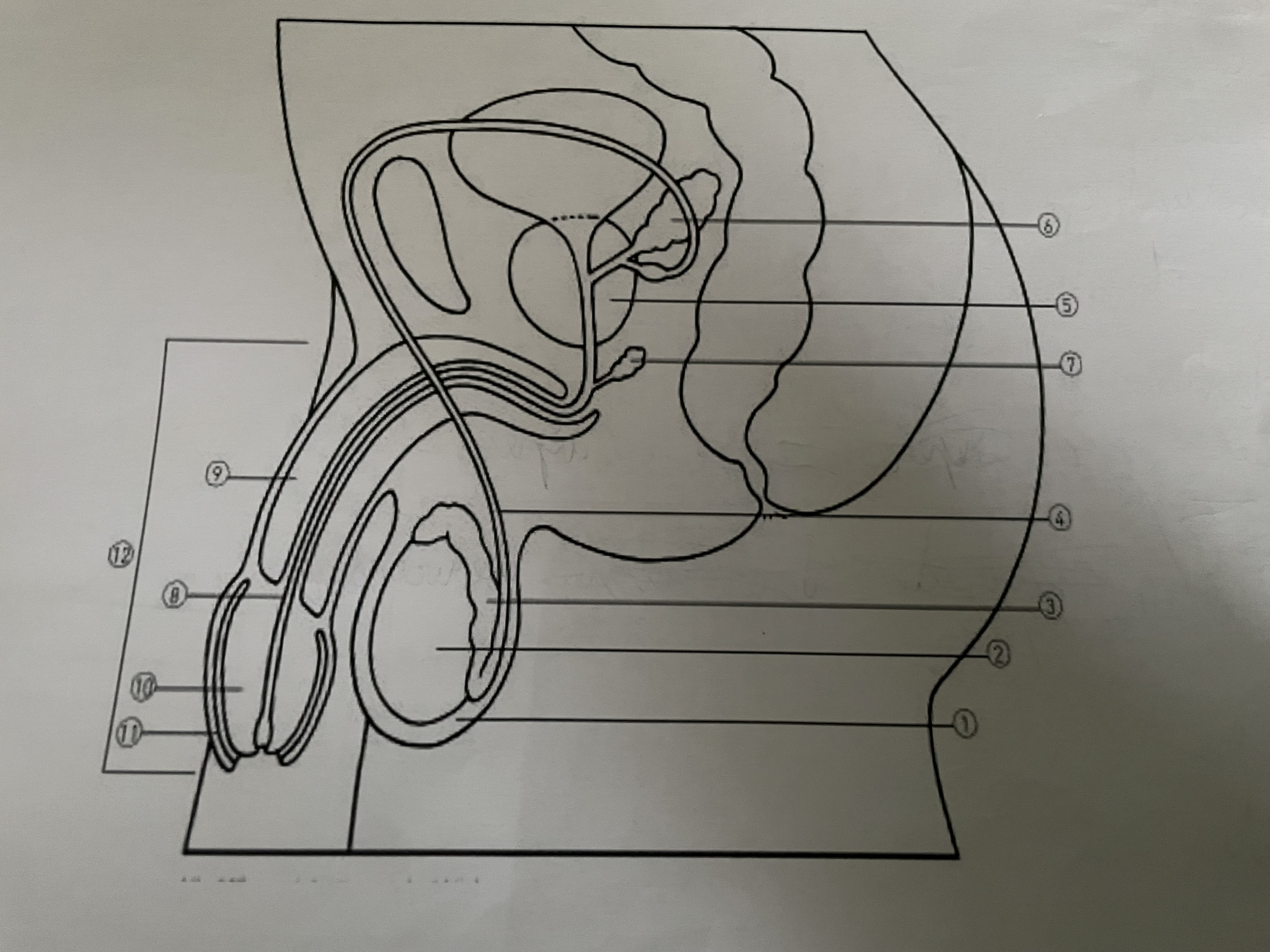 <p>noem de delen</p>