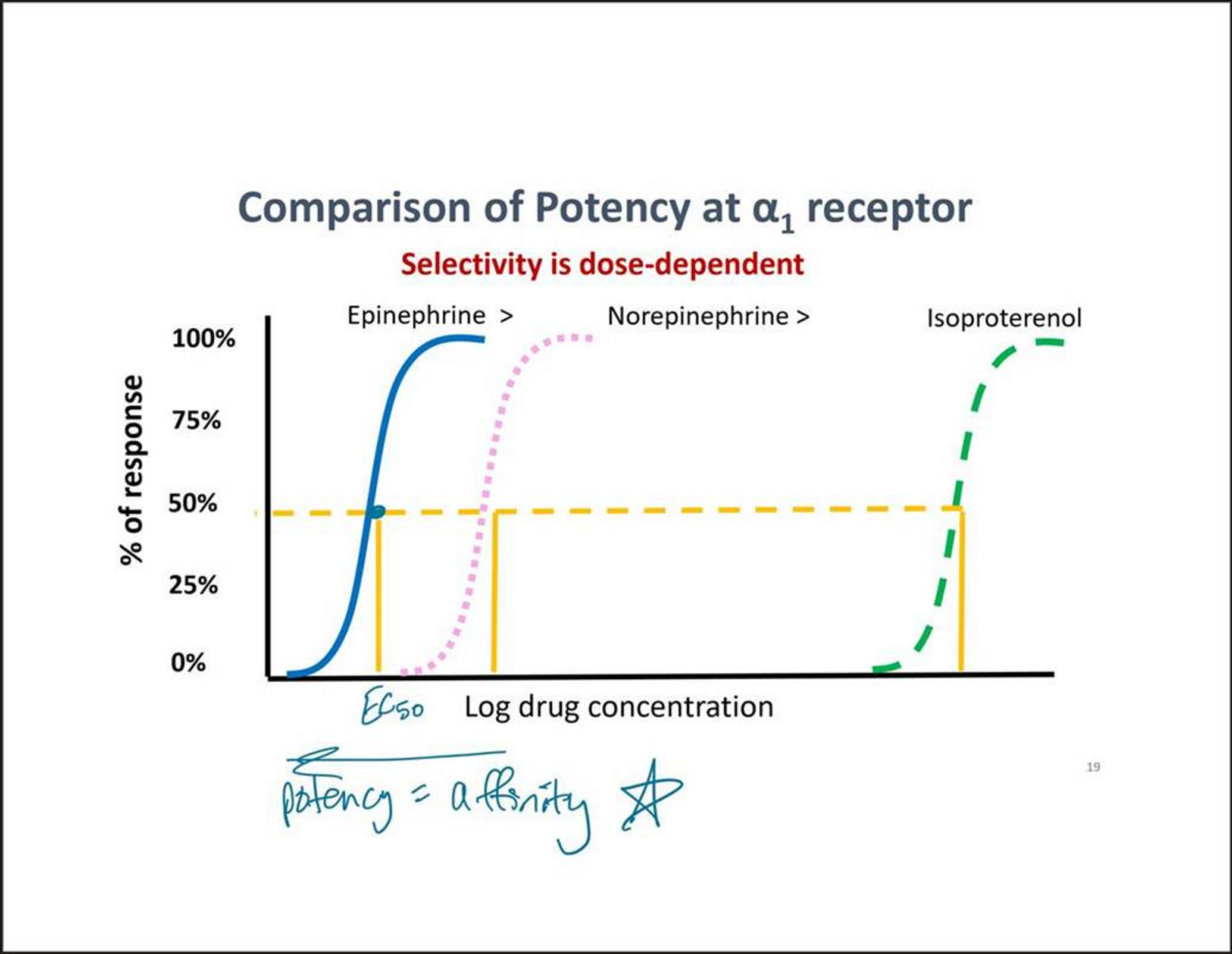 <p>Equal to potency of a drug</p>