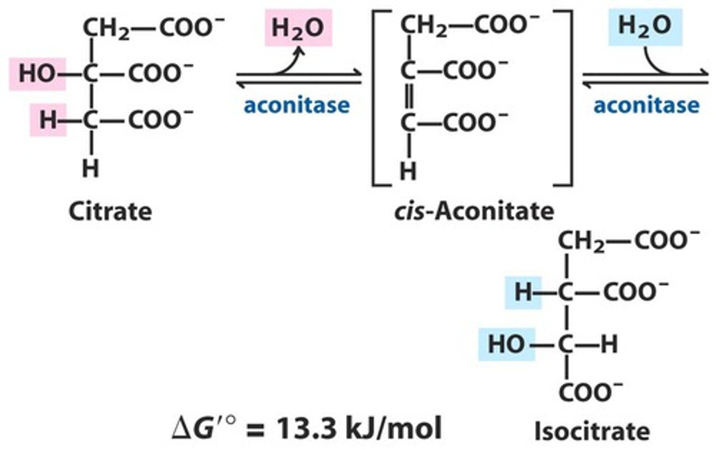 <p>Reactants: cis-aconitate + H2O</p><p>Products: Isocitrate</p><p>Enzyme: aconitase</p><p>Overall Delta G: 13.3 kJ/mol</p><p>Reversibility: Reversible</p>