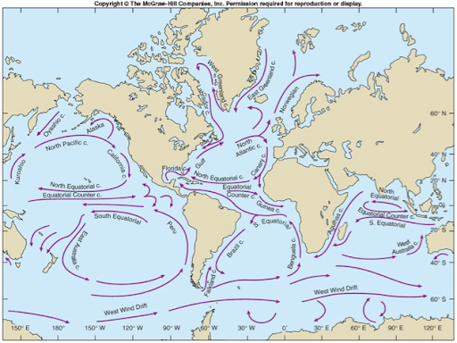<ul><li><p>Know names of ocean currents</p></li><li><p>Many currents follow same naming convention. Note how the northern sections od the currents in the North Atlantic and the North Pacific are simply called the North Pacific and the North Atlantic Current respectively</p></li><li><p>Close to equator, there are 3 currents with the same name in the Pacific, the Atlantic, and the Indian Oceans </p></li><li><p>Southern Section of the Southern Hemisphere gyres are all part of the West Wind Drift</p></li><li><p>It is only continuity currents, the western and eastern currents of the gyres that have own specific names</p></li></ul>