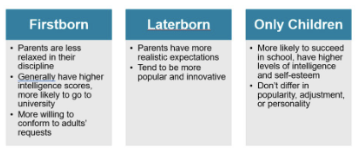 <p>Important Note : These are general trends. Family dynamics and parenting quality matter more than birth order alone</p>
