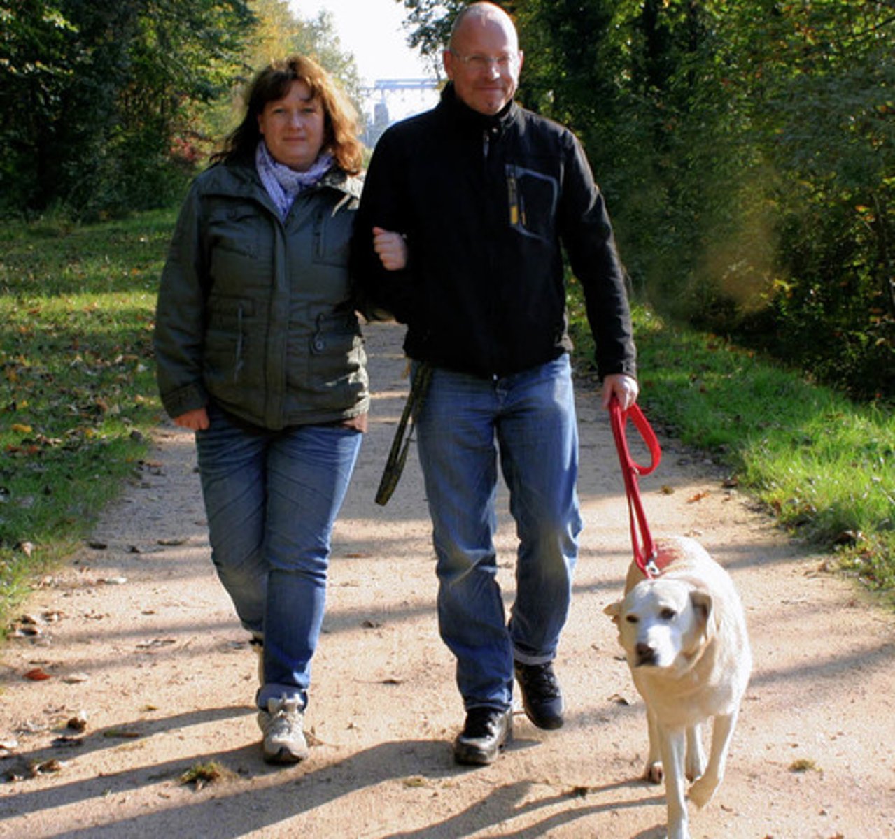 <p>to go for a walk</p>