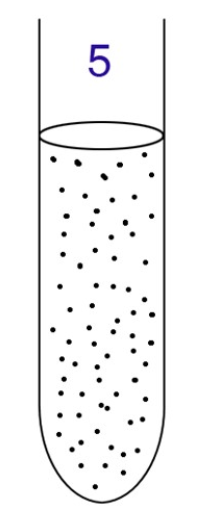 <p>What type of aerobe or anaerobe is this?</p>